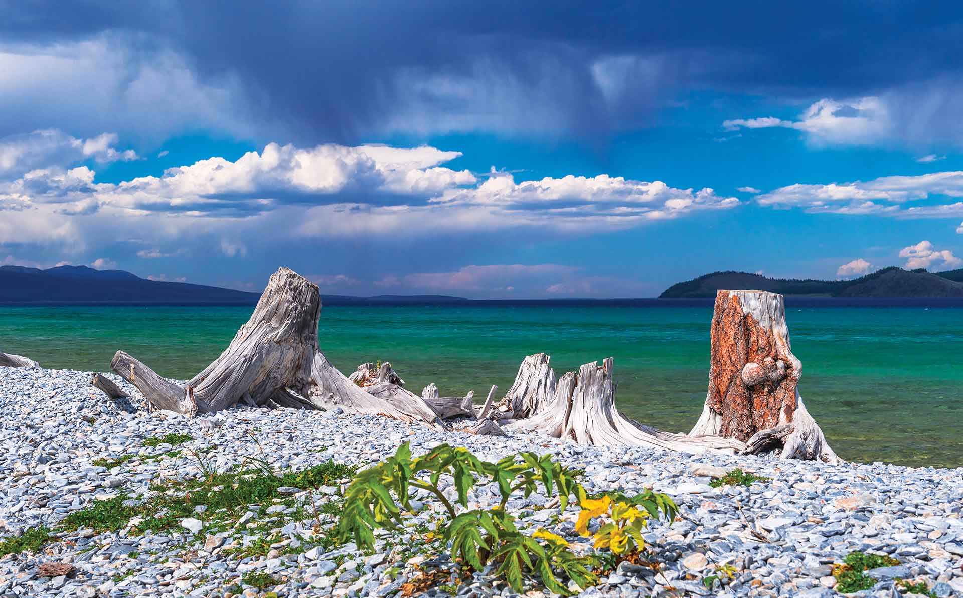 See Mongolia in Ultimate Comfort with Our Comfort Tours! | See Mongolia ...